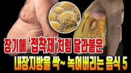 내장지방을 녹여야 건강하게 산다 - 엽기사진실 - 이종격투기 내장지방을 녹여야 건강하게 산다