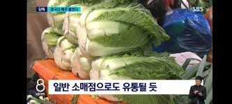 정부 김장철 대책 : 김장철 비상.. 중국산 배추 소매시장 푼다 - 악플달면 쩌리쩌려버려 - ＊여성시대＊ 차분한 20대들의 알흠다운 공간 정부... 