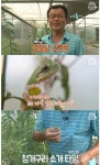 스압) 청개구리 동산 아저씨.jpg - 엽기사진실 - 이종격투기 스압) 청개구리 동산 아저씨.jpg