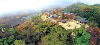 더쿠 - [불교 사찰] 경북 김천 직지사.jpg