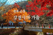 전북 순창 강천사 - 엽기사진실 - 이종격투기 전북 순창 