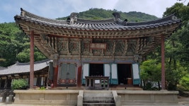 경북 구미 "도리사" - 엽기사진실 - 이종격투기 경북 구미 