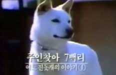 28년 전, 컴퓨터 시장을 완전히 바꾼 날 - 엽기사진실 - 이종격투기 28년 전, 컴퓨터 시장을 완전히 바꾼 날