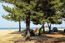 강원도 강릉 옥계해변 - 엽기사진실 - 이종격투기 강원도 강릉 옥계해변