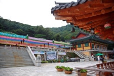 경기도 의왕 청계사 - 엽기사진실 - 이종격투기 경기도 의왕 