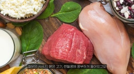 약사가 알려주는 살 뺄 때 오는 "탈모" 막는 방법 - 엽기사진실 - 이종격투기 약사가 알려주는 살 뺄 때 오는