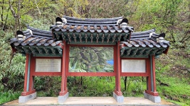 전북 정읍 내장산 내장사 - 엽기사진실 - 이종격투기 전북 정읍 내장산 