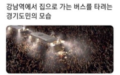 강남역에서 집으로 가는 버스를 타려는 경기도민 - 엽기사진실 - 이종격투기 강남역에서 집으로 가는 버스를 타려는 경기도민