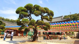 더쿠 - [불교 사찰] 경기도 여주 신륵사.jpg