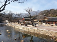 더쿠 - [불교 사찰] 경남 양산 통도사.jpg