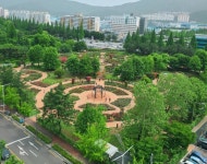 창원대로 공원 녹지 - 엽기사진실 - 이종격투기 창원대로 공원 녹지