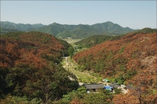 더쿠 - [불교 사찰] 전남 화순 운주사.jpg