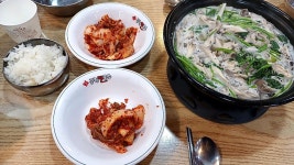 [ 서울 강서구 ] 공항칼국수 - 전국 맛집 게시판 - 이종격투기 [ 서울 강서구 ] 공항칼국수