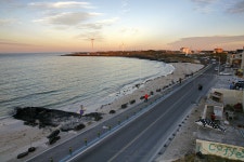 제주 월정리해변 - 엽기사진실 - 이종격투기 제주 