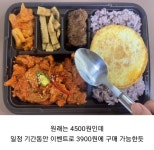 오늘부터 판매시작한 도시락 - 엽기사진실 - 이종격투기 오늘부터 판매시작한 도시락