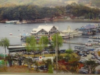 추억의 원천유원지 - 엽기사진실 - 이종격투기 추억의 원천유원지