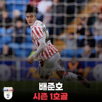 배준호 시즌 1호골 - 스포츠/중계 게시판 - 이종격투기 배준호 시즌 1호골