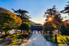부산 금정구 범어사 - 엽기사진실 - 이종격투기 부산 금정구 