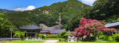 충북 영동 반야사 - 엽기사진실 - 이종격투기 충북 영동 