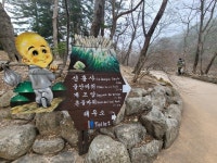 강원도 속초 신흥사 - 엽기사진실 - 이종격투기 강원도 속초 