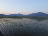 Be Peace - Ganghwa Island Guest House, Incheon - 강화도 게스트하우스 배꽃집 Be Peace