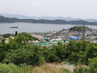 유달산 - 사진 자료실 - 탑 스터디 아카데미 유달산