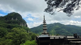청량산 - ☞ 100명산 정기산행 사진방 - 정운산악회 청량산