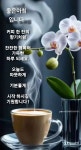 ♧ 못난 꽃에게는 평화가 있다 ♧!~~ - ♣감동글 교훈글♣ - 조은산악회114 ♧ 못난 꽃에게는 평화가 있다 ♧!~~