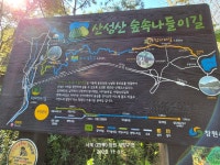 근교산행 창원시 양곡동 - ◈자유산행 및 여행후기 - 김해경운산악회 근교산행 창원시 양곡동