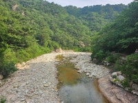 양양가족 여행기일시: 2025년 8월 1일~3일(금~일)장소: 한계령 오색 팬션 - 오색약수 - 선녀탕 - 용소폭포 - - 화랑 앨범 - 『무무관 관악... 