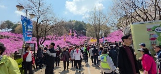 강서일요산악회, 강서트래킹 카페입니다. 경기도 부천시 원미산 둘레길 진달래 축제 입니다 허초 안종석 멋진 사진 되겠습니다 4월 5일 입니다