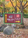 전라북도 고창군 선운사 11월15일 입니다 - ,·´″```°³о☆ 카페지기님방 - 어서 오세요.! 강서일요산악회, 강서트래킹 카페입니다. 전라북도... 