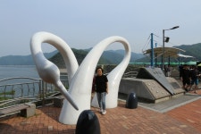 용두초교총동문회 야유회 - 모임/행사 - 고양시 용두초등학교 총동문회 용두초교총동문회 야유회