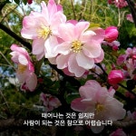 마음이 단순하면... - 삶의 미각 - 예산신양초등학교 마음이 단순하면...