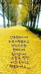 곱다스킨 | 오늘도 안부 전하며 행복하세요^^ - ........자유게시판 - 월배산악회 월배산악회