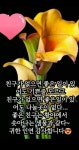 굿모닝 좋은 아침입니다 - ─‥‥최고의이미지 - 인생은추억여행 굿모닝 좋은 아침입니다