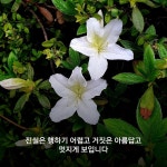 마음이 단순하면... - 삶의 미각 - 예산신양초등학교 마음이 단순하면...