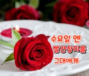 수요일엔 빨간 장미를 그대에게 / 인사말 이미지 - 이쁜 이미지 코너 - 기행사관1기동기모임 수요일엔 빨간 장미를 그대에게 / 인사말 이미지