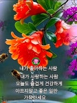 [■2/13금] 아침인사 - ‥‥ⓔ미지 ♡ 자료실 - 향기있는 좋은글 향기있는 좋은글