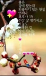 굿모닝 좋은 아침입니다 - ─‥‥최고의이미지 - 인생은추억여행 굿모닝 좋은 아침입니다