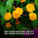 마음이 단순하면... - 삶의 미각 - 예산신양초등학교 마음이 단순하면...