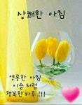 굿모닝 좋은 아침입니다 - ─‥‥최고의이미지 - 인생은추억여행 굿모닝 좋은 아침입니다