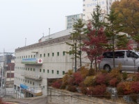 [춘천교구] 죽림동 성당 - 성지 순례 - 천주교 제주교구 신창성당 [춘천교구] 죽림동 성당