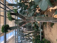 제주살이 10년(11): 억새와 오름나들이 - 우리들의 이야기 - 천주교 제주교구 신창성당 제주살이 10년(11): 억새와 오름나들이