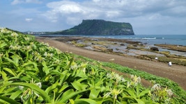 제3막 인생: 제주살이(52) - 2024(7) - 우리들의 이야기 - 천주교 제주교구 신창성당 제3막 인생: 제주살이(52) - 2024(7)