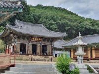 영천 은혜사 숲 계곡 - 지구촌풍경[자연] - 세계신문명운동연합 영천 은혜사 숲 계곡