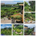 제주도숙소 하얀도화지민박 10월착한가격 - .......... 예약요금안내 - 제주도여행 하얀도화지민박 제주도숙소 하얀도화지민박 10월착한가격