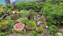 제주도여행 오션뷰 마당이쁜집 하얀도화지 민박 - .......... 민박지기일기 - 제주도여행 하얀도화지민박 제주도여행 오션뷰 마당이쁜집 하얀도화지... 