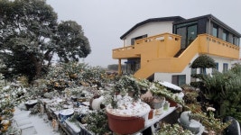 하얀도화지 에 눈이 내려요 - .......... 텃밭나무꽃들 - 제주도여행 하얀도화지민박 하얀도화지 에 눈이 내려요