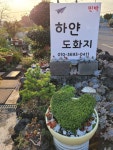 서귀포중문오션뷰 하얀도화지 펜션의가을 - .......... 텃밭나무꽃들 - 제주도여행 하얀도화지민박 서귀포중문오션뷰 하얀도화지 펜션의가을